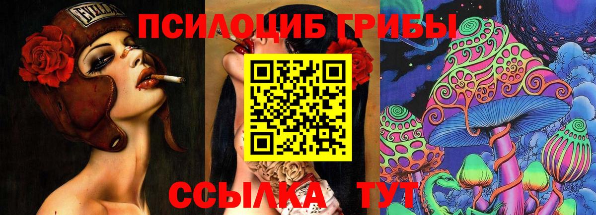 Кохма  Галлюциногенные грибы прущие грибы  цены наркотик  Вход с VPN 