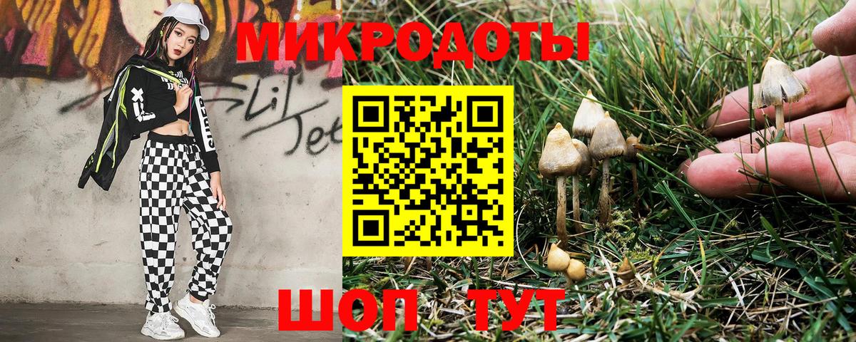 Псилоцибиновые грибы мицелий Кохма