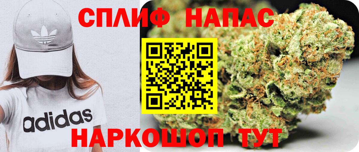 Конопля Bruce Banner  Вход с VPN  Каннабис марихуана  Кохма  Бошки марихуана семена 