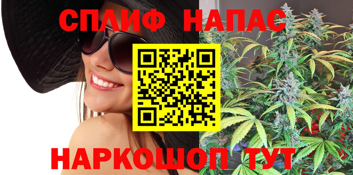 Шишки марихуана сатива Кохма